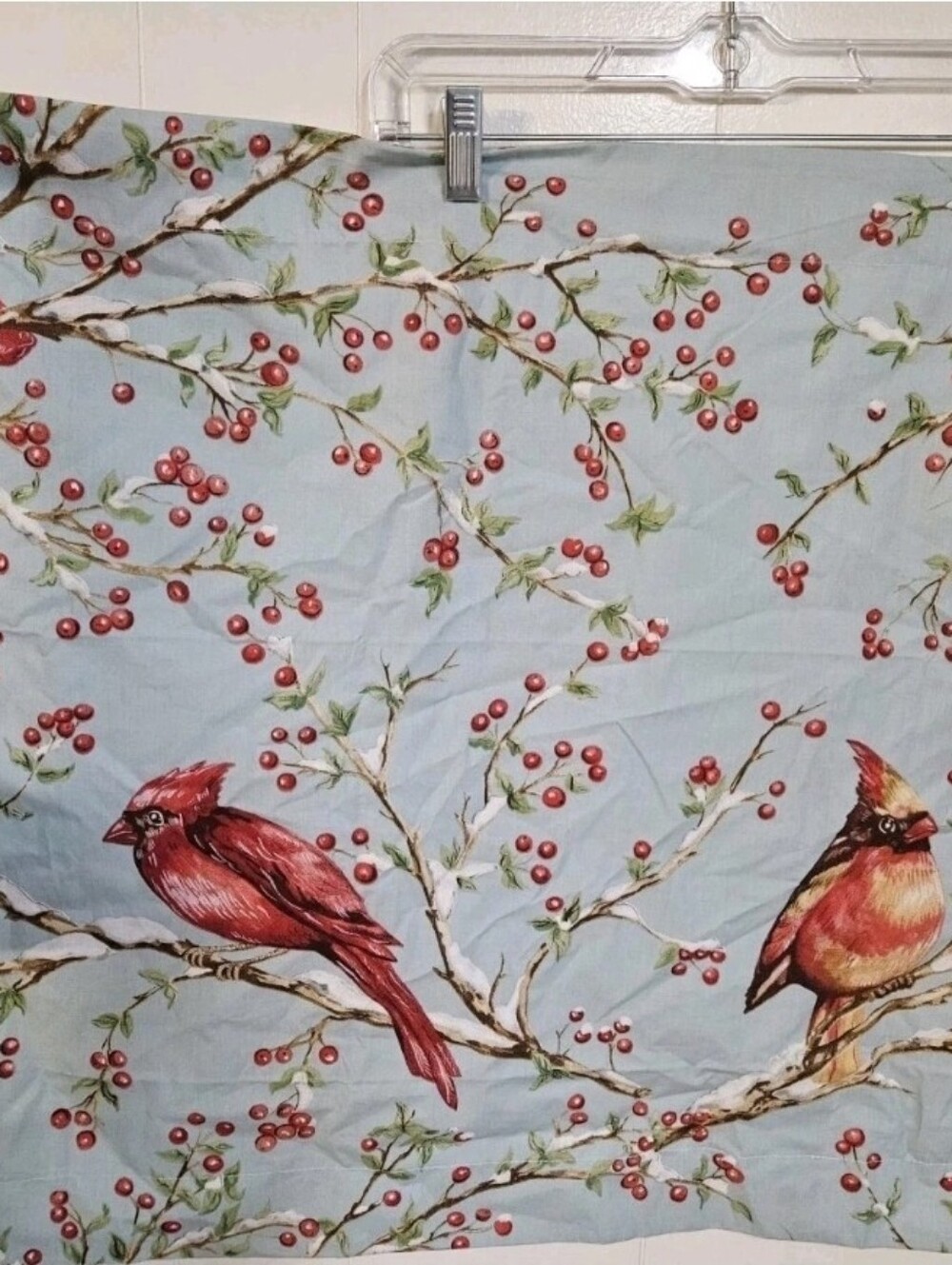 Set Of 2 Pottery Barn Cardinal Winter Berry Standard Size Shams Organic Cotton